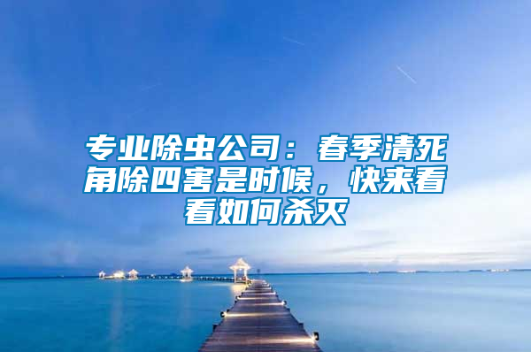 專業(yè)除蟲公司：春季清死角除四害是時候，快來看看如何殺滅
