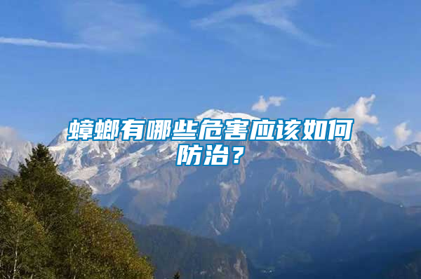 蟑螂有哪些危害應(yīng)該如何防治？