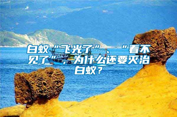 白蟻“飛光了”、“看不見了”，為什么還要滅治白蟻？