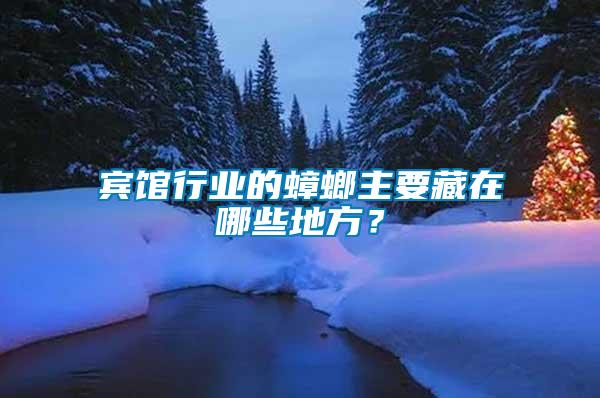 賓館行業(yè)的蟑螂主要藏在哪些地方？