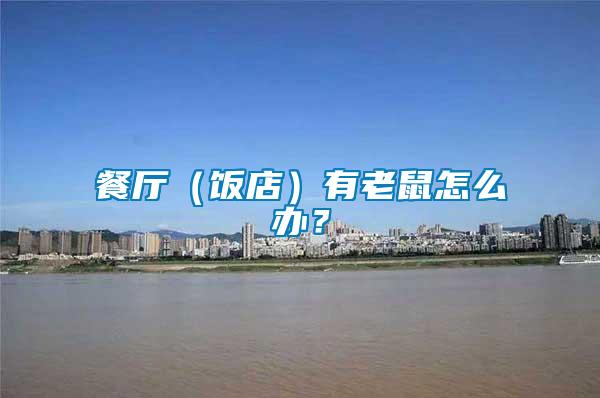 餐廳（飯店）有老鼠怎么辦？