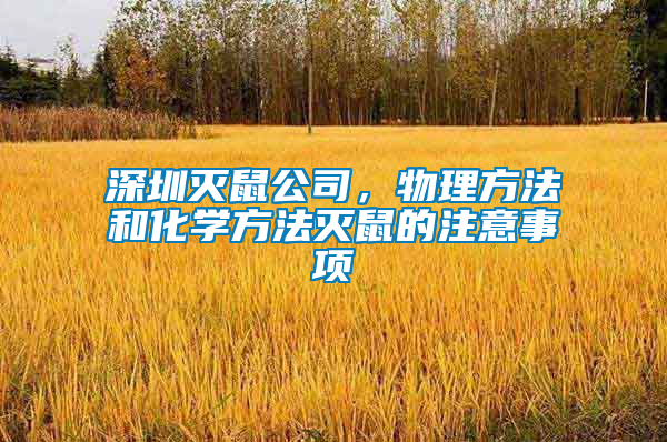 深圳滅鼠公司，物理方法和化學方法滅鼠的注意事項