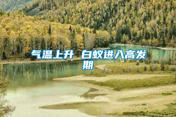 氣溫上升 白蟻進(jìn)入高發(fā)期