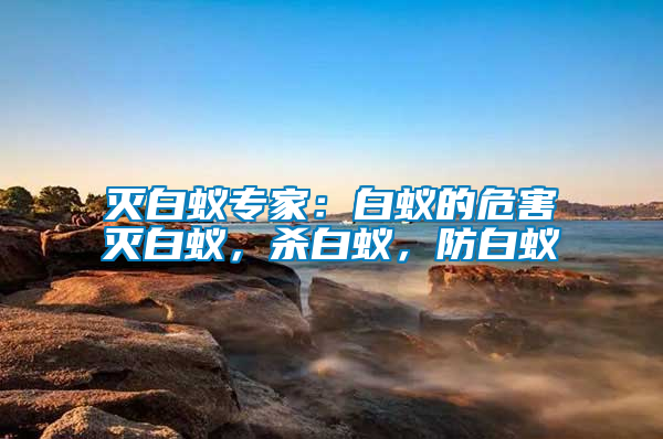 滅白蟻專家：白蟻的危害滅白蟻，殺白蟻，防白蟻