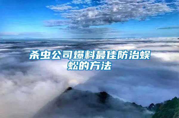 殺蟲(chóng)公司爆料最佳防治蜈蚣的方法
