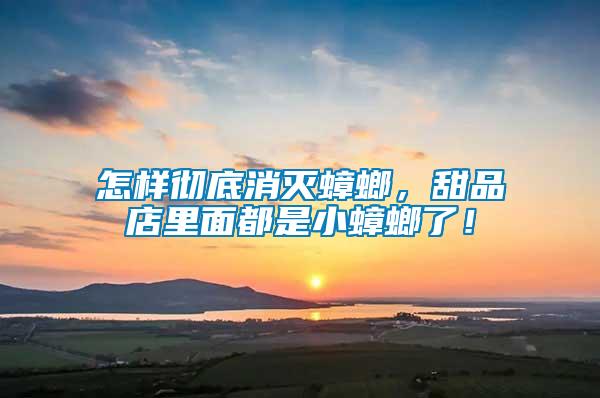 怎樣徹底消滅蟑螂，甜品店里面都是小蟑螂了！