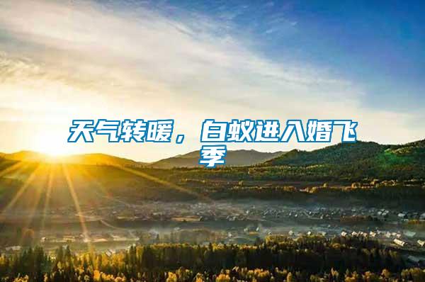天氣轉(zhuǎn)暖，白蟻進入婚飛季
