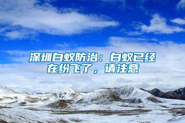 深圳白蟻防治：白蟻已經在紛飛了，請注意