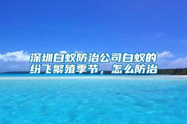 深圳白蟻防治公司白蟻的紛飛繁殖季節(jié)，怎么防治