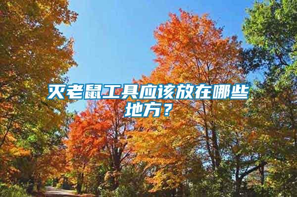 滅老鼠工具應(yīng)該放在哪些地方？
