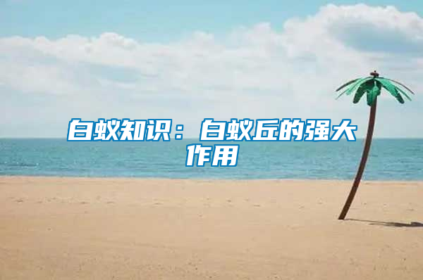 白蟻知識：白蟻丘的強(qiáng)大作用