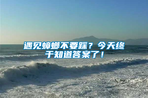遇見(jiàn)蟑螂不要踩？今天終于知道答案了！