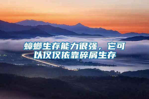 蟑螂生存能力很強(qiáng)，它可以僅僅依靠碎屑生存