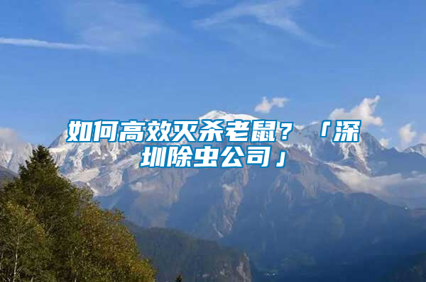 如何高效滅殺老鼠？「深圳除蟲公司」