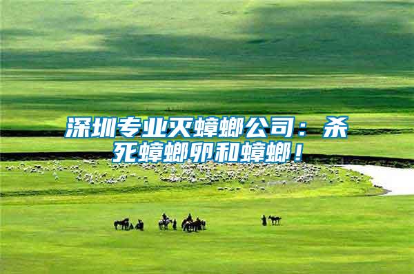 深圳專業(yè)滅蟑螂公司：殺死蟑螂卵和蟑螂！