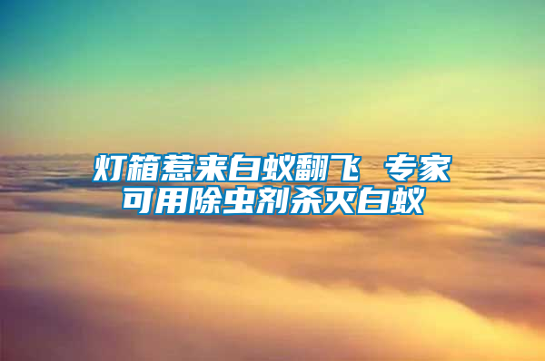 燈箱惹來(lái)白蟻翻飛 專家可用除蟲劑殺滅白蟻