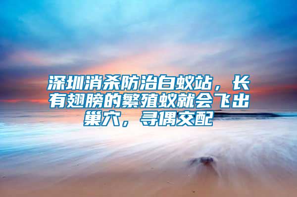 深圳消殺防治白蟻站，長(zhǎng)有翅膀的繁殖蟻就會(huì)飛出巢穴，尋偶交配