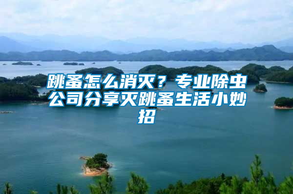 跳蚤怎么消滅？專業(yè)除蟲公司分享滅跳蚤生活小妙招
