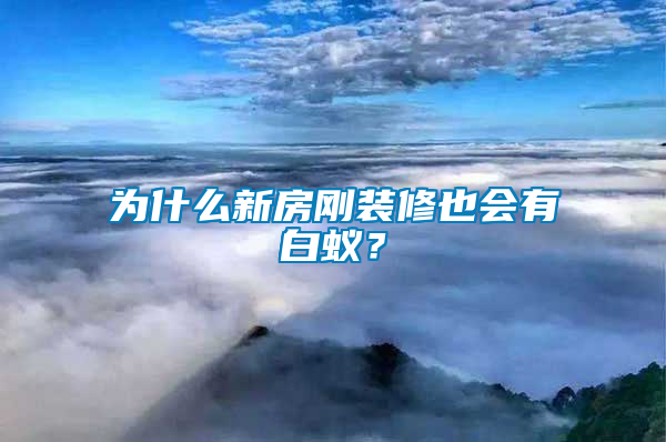 為什么新房剛裝修也會有白蟻？