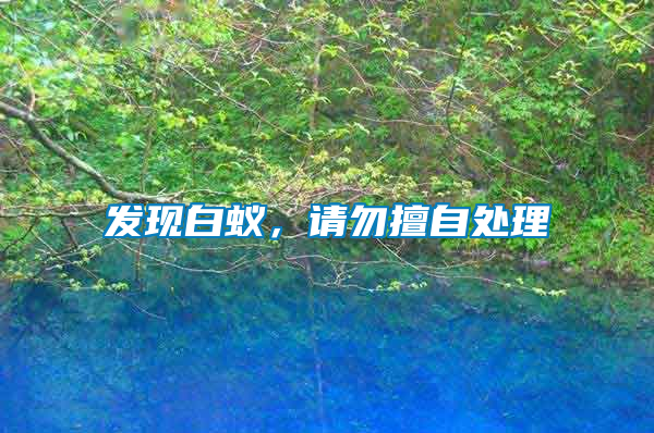 發(fā)現(xiàn)白蟻，請勿擅自處理