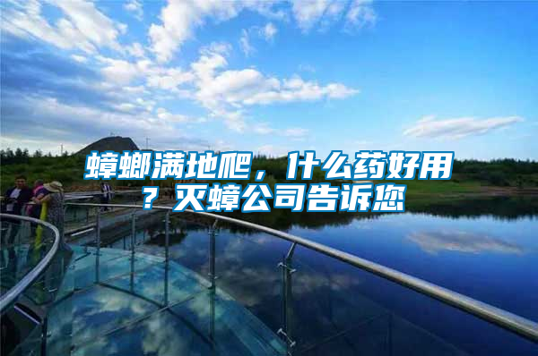 蟑螂滿地爬，什么藥好用？滅蟑公司告訴您