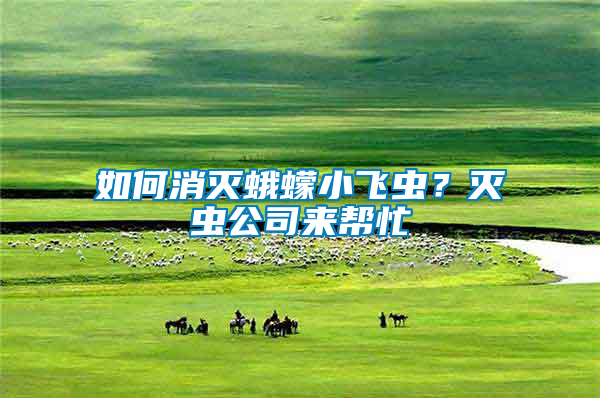 如何消滅蛾蠓小飛蟲？滅蟲公司來幫忙