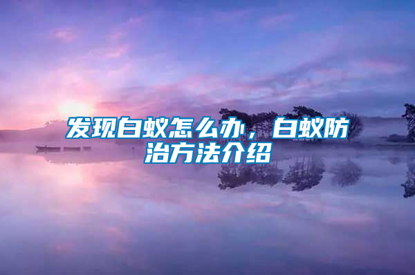發(fā)現(xiàn)白蟻怎么辦，白蟻防治方法介紹