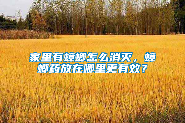 家里有蟑螂怎么消滅，蟑螂藥放在哪里更有效？