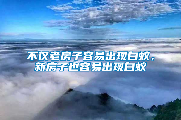 不僅老房子容易出現(xiàn)白蟻，新房子也容易出現(xiàn)白蟻