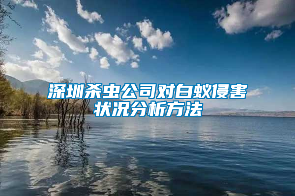 深圳殺蟲公司對(duì)白蟻侵害狀況分析方法