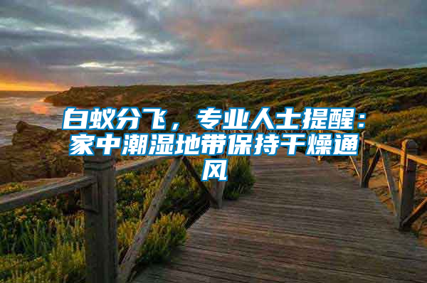 白蟻分飛，專業(yè)人士提醒：家中潮濕地帶保持干燥通風(fēng)