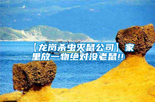 【龍崗殺蟲滅鼠公司】家里放一物絕對(duì)沒老鼠!!