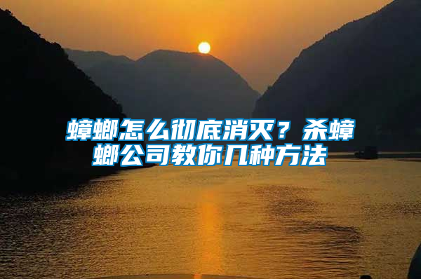蟑螂怎么徹底消滅？殺蟑螂公司教你幾種方法
