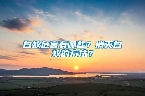 白蟻危害有哪些？消滅白蟻的方法？