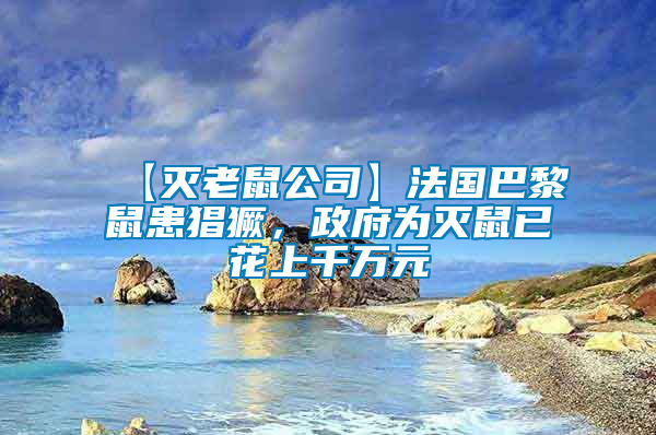 【滅老鼠公司】法國巴黎鼠患猖獗，政府為滅鼠已花上千萬元