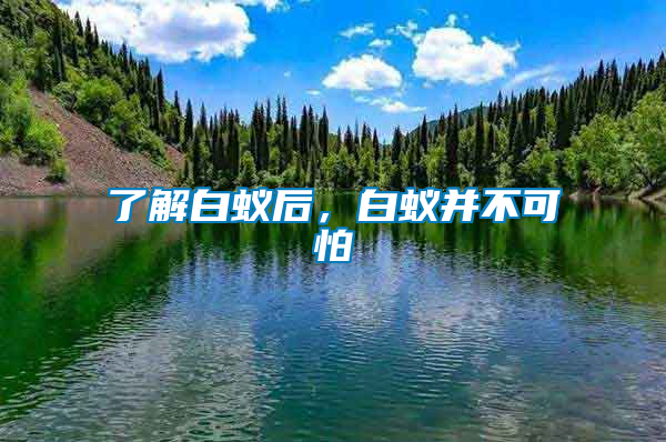 了解白蟻后，白蟻并不可怕