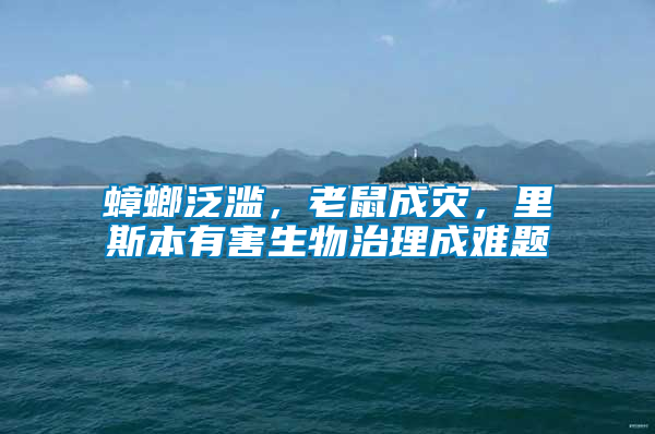 蟑螂泛濫，老鼠成災(zāi)，里斯本有害生物治理成難題