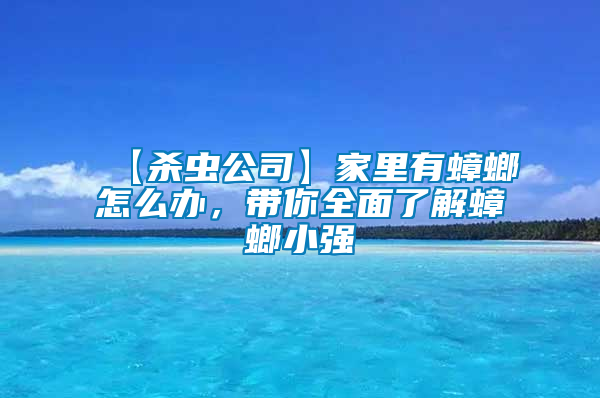 【殺蟲(chóng)公司】家里有蟑螂怎么辦，帶你全面了解蟑螂小強(qiáng)
