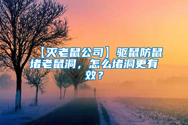 【滅老鼠公司】驅(qū)鼠防鼠堵老鼠洞，怎么堵洞更有效？