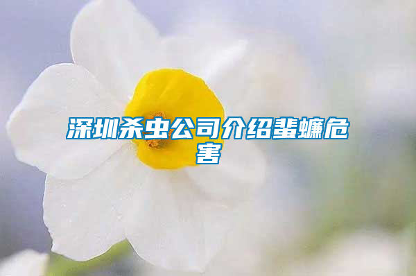深圳殺蟲(chóng)公司介紹蜚蠊危害