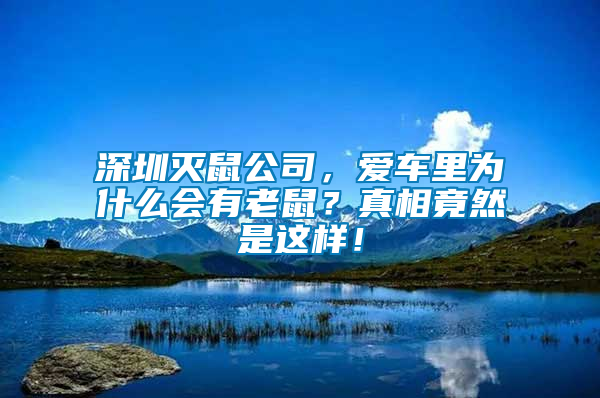 深圳滅鼠公司，愛(ài)車?yán)餅槭裁磿?huì)有老鼠？真相竟然是這樣！