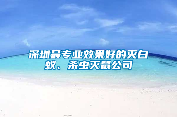 深圳最專業(yè)效果好的滅白蟻、殺蟲滅鼠公司