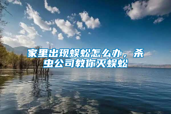 家里出現(xiàn)蜈蚣怎么辦，殺蟲公司教你滅蜈蚣