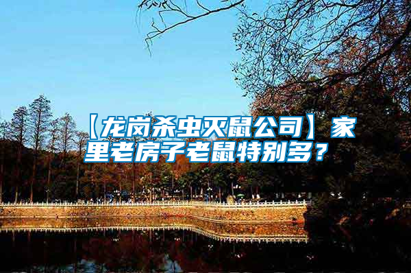 【龍崗殺蟲滅鼠公司】家里老房子老鼠特別多？