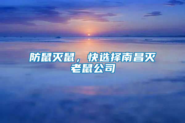 防鼠滅鼠，快選擇南昌滅老鼠公司