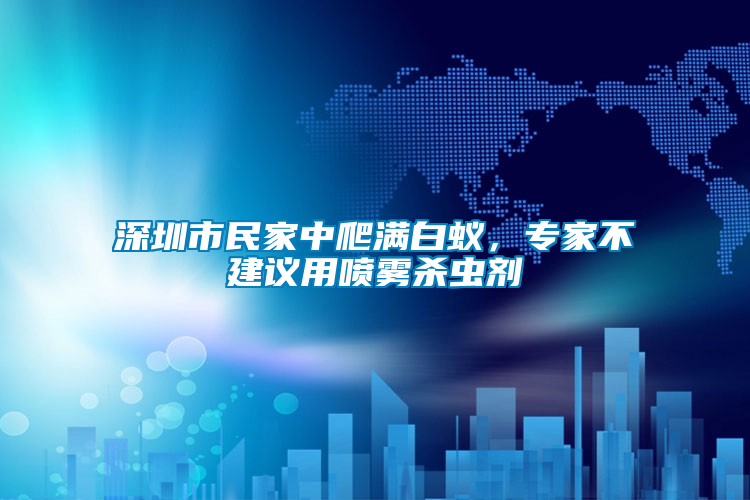 深圳市民家中爬滿白蟻，專家不建議用噴霧殺蟲劑