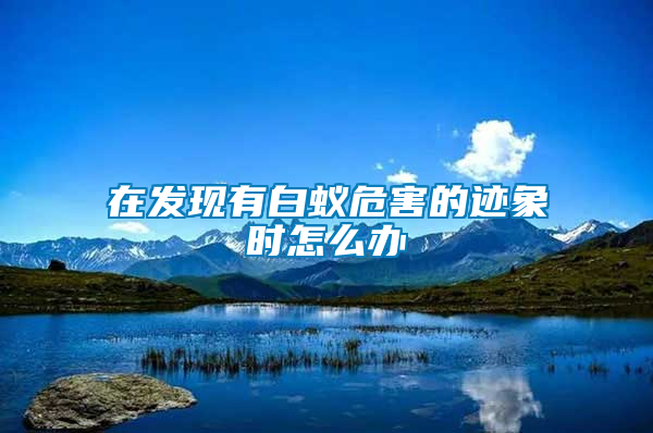 在發(fā)現(xiàn)有白蟻危害的跡象時(shí)怎么辦