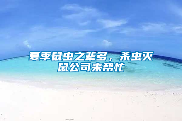 夏季鼠蟲之輩多，殺蟲滅鼠公司來幫忙