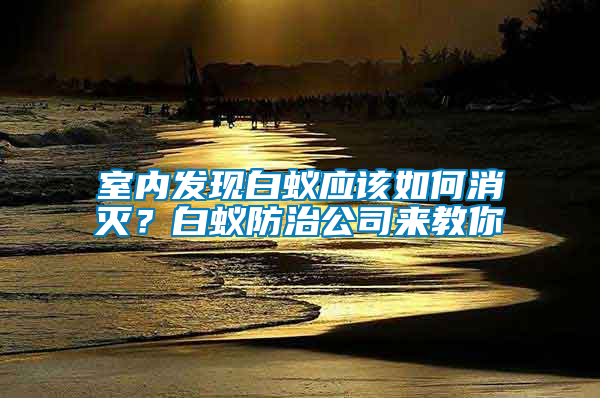 室內(nèi)發(fā)現(xiàn)白蟻應(yīng)該如何消滅？白蟻防治公司來教你