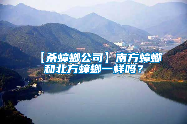 【殺蟑螂公司】南方蟑螂和北方蟑螂一樣嗎？